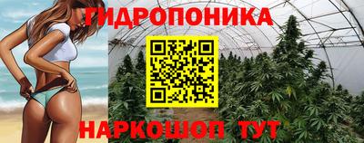 каннабис Заволжье