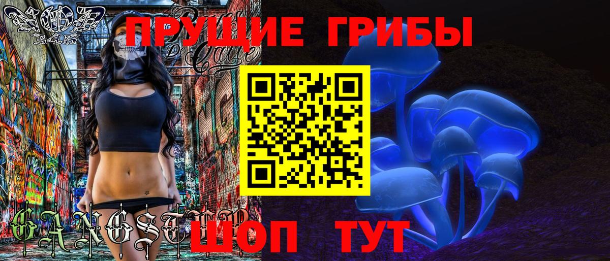 Галлюциногенные грибы Magic Shrooms  купить  сайты  Родники  Галлюциногенные грибы Cubensis  Вход с VPN 