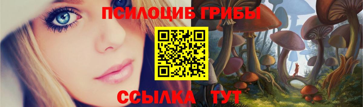 Псилоцибиновые грибы прущие грибы Родники